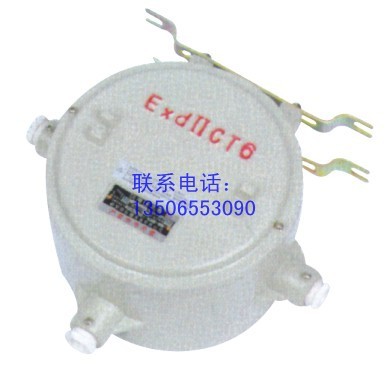 供应BdH系列防爆镇流器(ⅡB、ⅡC、e、DIP)
